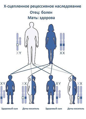 X-сцепленное наследование рецессивного признака от отца, который является больным.