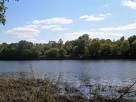 Generell utsikt over øya (Nordbredden av Wien).