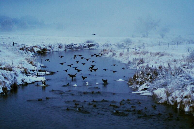 File:0029 January 2016 in Podlaskie Voivodeship.jpg