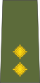 Teniente (Fuerzas Terrestres de Ruanda)[68]