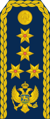 19-Montenegro Air Force-GEN.svg