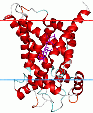 <span class="mw-page-title-main">Mitochondrial carrier</span>