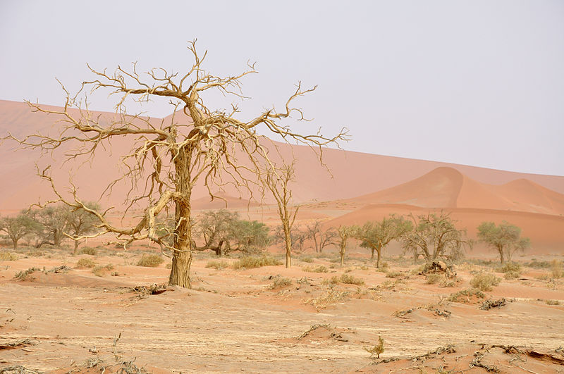 File:2010-09-25 15-23-51 Namibia Hardap Hammerstein.jpg