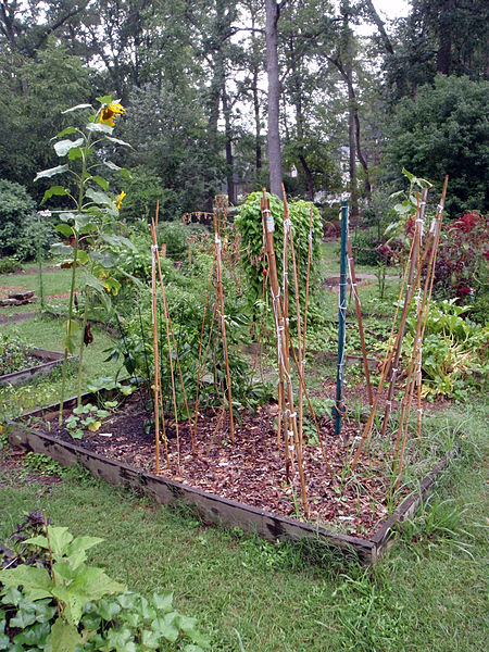 File:2010 community garden AtlantaGA 4898749834.jpg