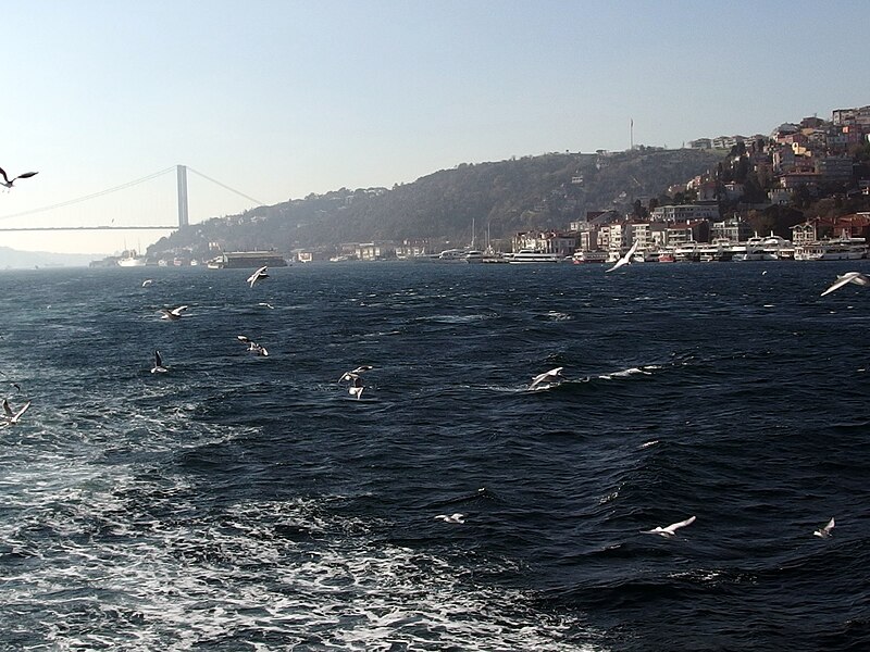 File:20131206 Istanbul 082.jpg