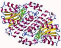 Minijatura za 15-hidroksiprostaglandin dehidrogenaza (NAD+)