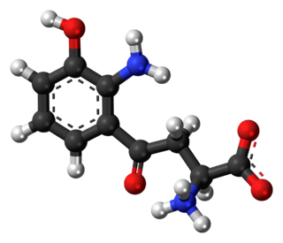 <span class="mw-page-title-main">3-Hydroxykynurenine</span> Chemical compound