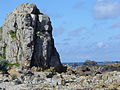 Das Felsenmeer rings um das Pointe du Château - Côte de granite rose(Côte de granite rose) - commune Plougrescant ,Departement Côtes-d'Armor , Region Bretagne - Spaziergang