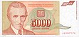 5000-dinar-Yugoslav-1993 05.jpg
