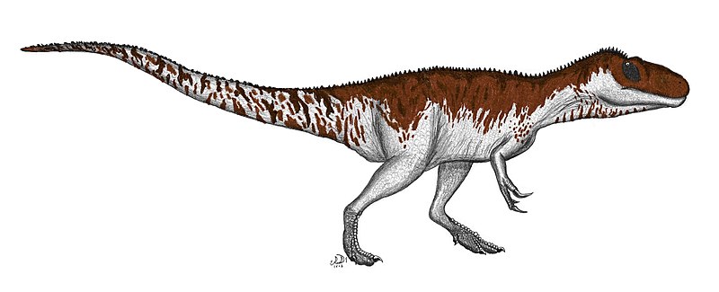 File:Afrovenator Abakensis by PaleoGeek.jpg