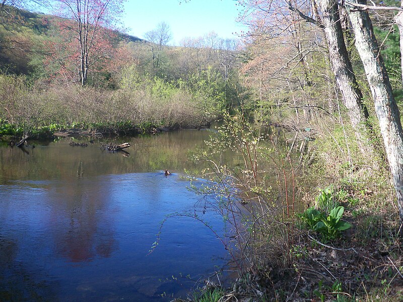 File:April at Laurel Lake, Pine Grove Furnace SP.jpg