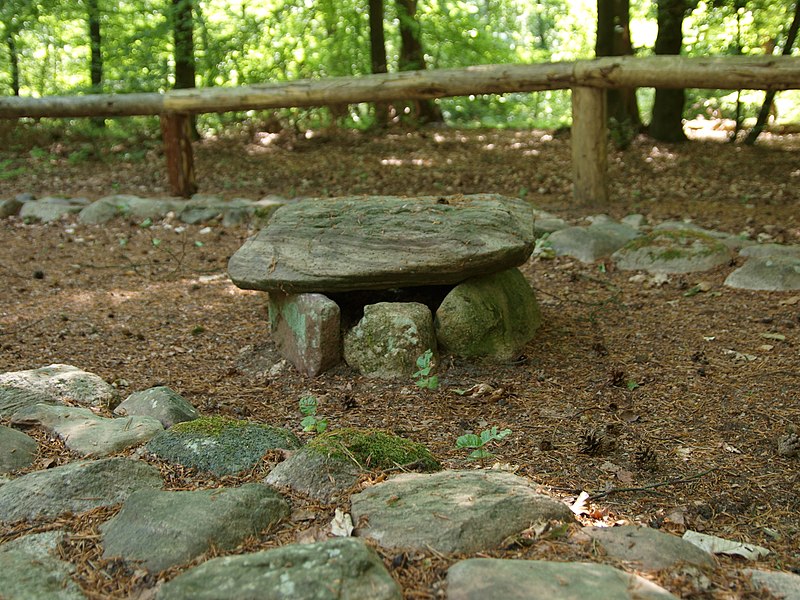 File:Arch Wanderpfad Fischbeker Heide Station 09 younger burial.jpg