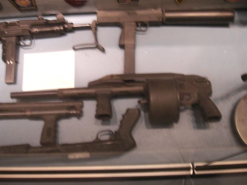 File:Armsel Striker.jpg