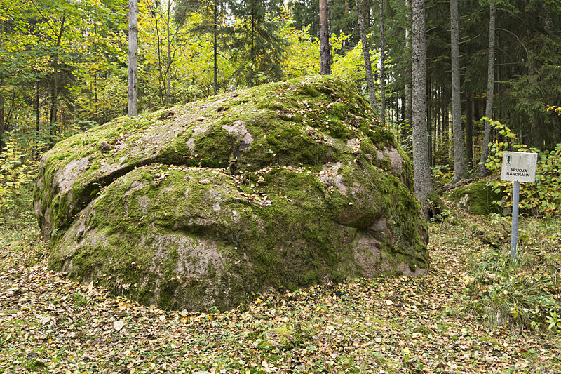 File:Aruoja rändrahn.jpg