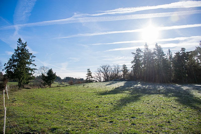 File:Auvergne, décembre 2018 — 15.jpg