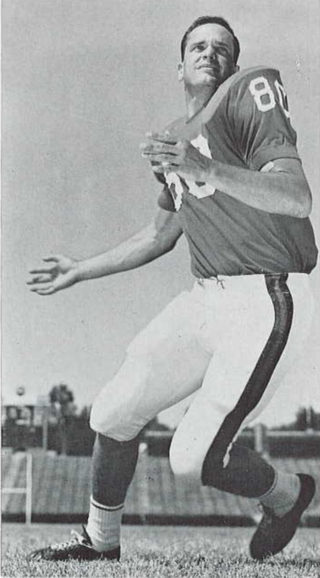 <span class="mw-page-title-main">Barry Brown (American football)</span> American football player (1943–2020)