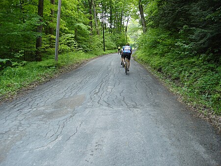 Beartown State Forest