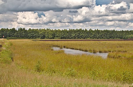 Benthullener Moor