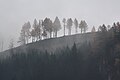 Bergrücken in den Wolken