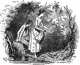 Paul regardant Virginie nourrir des oiseaux dans une illustration du roman d'après les dessins de Bertall et Demarle.