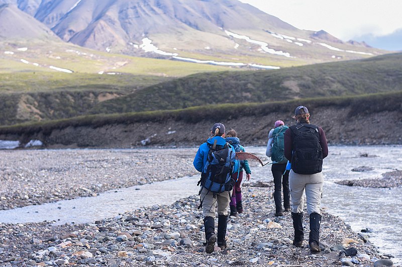 File:Biologists set off into the wilderness to study birds in Denali (3d035688-60fb-4a5c-8c48-844360e8d777).jpg