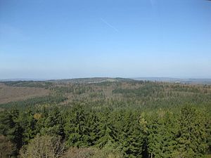 View from the observation tower on the local mountain to the Gaulskopf, in front of it Espa