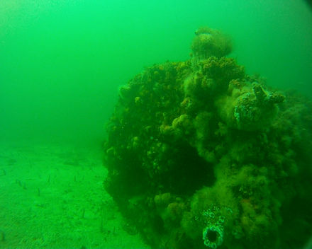 Firebox openings on the northern boiler of Boiler wreck 3