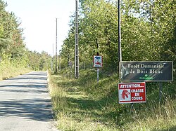 Forêt de Bois Blanc (Charente) makalesinin açıklayıcı görüntüsü