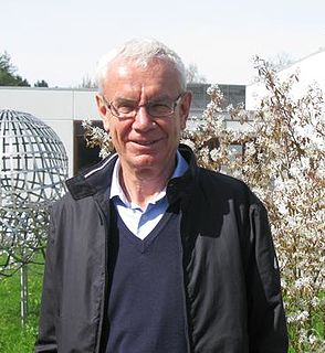 Boris Dubrovin (mathematician) Russian mathematician (1950–2019)
