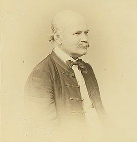 Игнац Филипп Земмельвейс, 1860