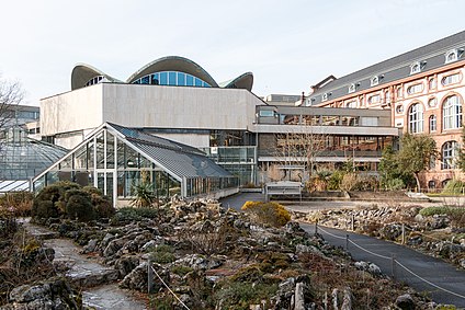 Universitat Basel Wikiwand