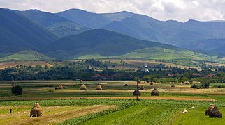 Biserica de lemn din Brădet, Bihor