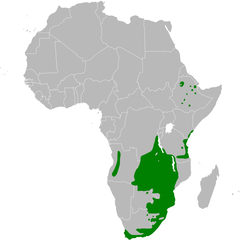 Bradypterus baboecala distribution map.png