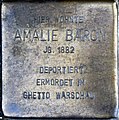 wikimedia_commons=File:Braunschweig Steinstraße 2 Stolperstein Amalie Baron.jpg image=File:Braunschweig Steinstraße 2 Stolperstein Amalie Baron.jpg