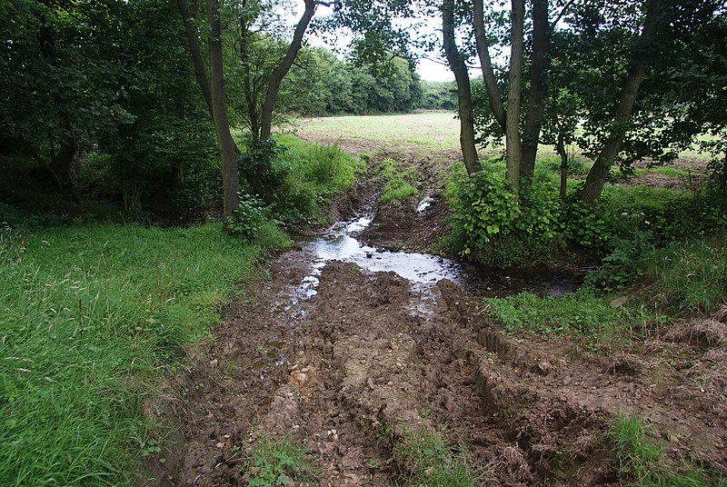 File:Bridleway crossing a beck near Mill Hill Farm - geograph.org.uk - 3646873.jpg