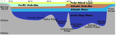 Distribution of the major water mass in the Arctic Ocean. The section sketches the different water masses along a vertical section from Bering Strait over the geographic North Pole to Fram Strait. As the stratification is stable, deeper water masses are denser than the layers above. BrnBld BeringToFram.svg