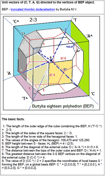 File:Burtyka eighteen polyhedron - truncated rhombic dodecahedron by Burtyka M.V.png