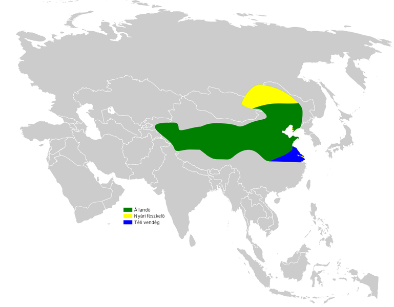 File:Calandrella cheleensis distribution map.png