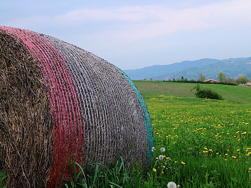 Balle di fieno negli Appennini - Montese (Italia)