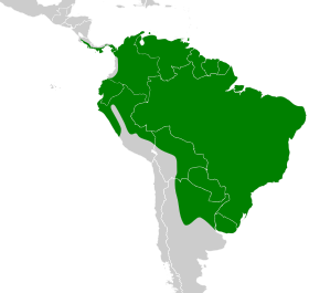 Distribución geográfica del mosquerito silbón.