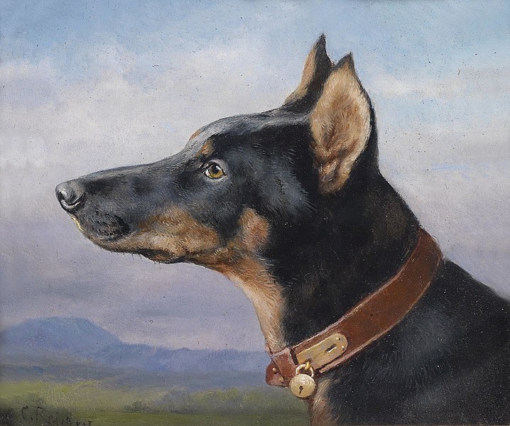 File:Carl Reichert Portrait eines Dobermanns 1916.jpg