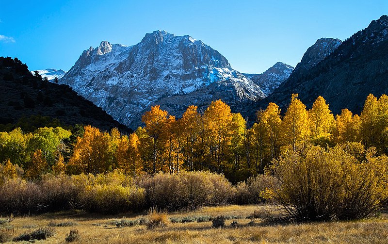 File:Carson Peak autumn.jpg