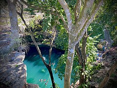 Cenote Zaci, Valladolid, Yucatan, Mexico 30 Marzo 2021.jpg