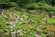 群馬鉄山跡（穴地獄・チャツボミゴケ公園）（2017年8月）