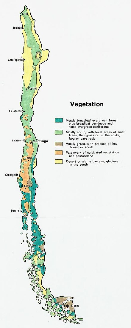 Vegetation map of Chile