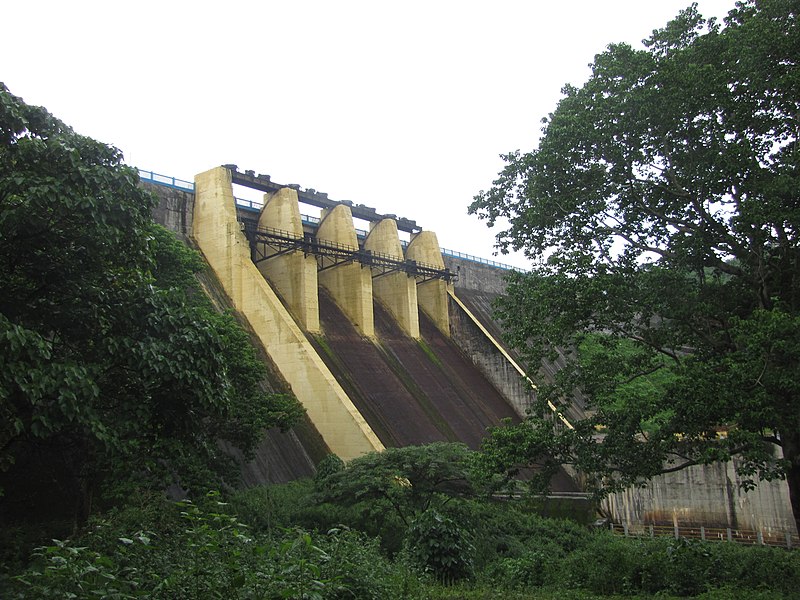 File:Chimmini Wildlife Sanctuary IMG 7011.JPG