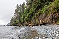 * Nomination Chin Beach, Juan de Fuca Trail, Vancouver Island --Podzemnik 00:20, 18 July 2018 (UTC) * Promotion  Support Good quality. -- Johann Jaritz 02:04, 18 July 2018 (UTC)