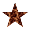 Chocolate Star.png