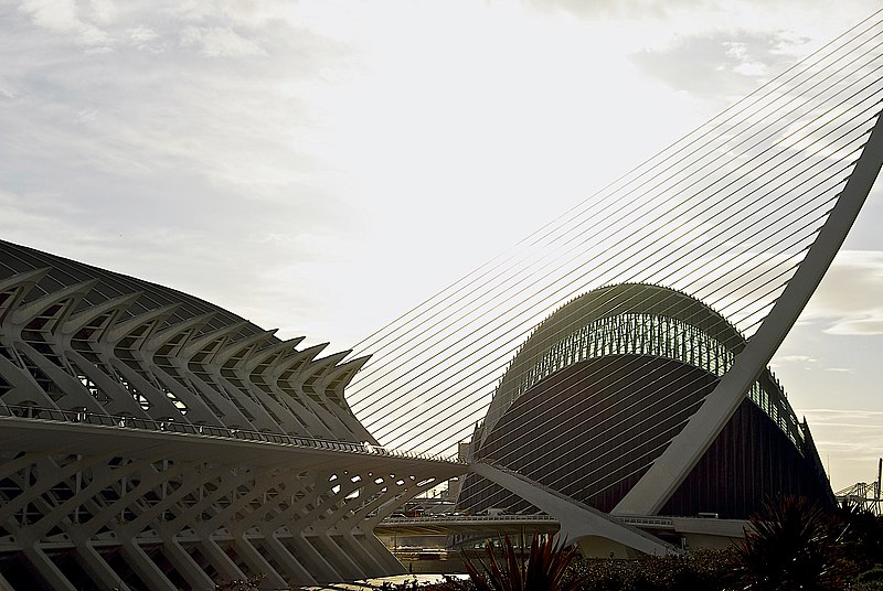 File:Ciutat de les Arts i les Ciències, València, Valencia, Spain - panoramio (22).jpg