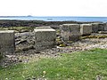 Coastal defences at Ferny Ness - geograph.org.uk - 2084127.jpg